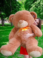 Ведмідь Бойд 160 см Коричневий - фото 4