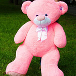 Медведь Бойд 200 см Розовый