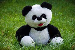 Мягкая панда